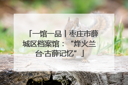 一馆一品丨枣庄市薛城区档案馆：“烽火兰台·古薛记忆”